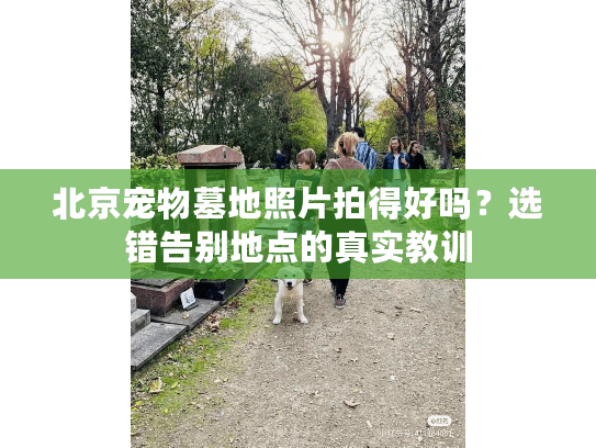 北京宠物墓地照片拍得好吗?选错告别地点的真实教训 北京宠物墓地照片拍得好吗?选错告别地点的真实教训
