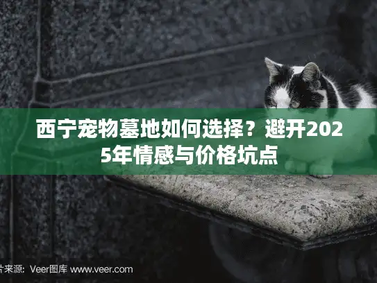 西宁宠物墓地如何选择？避开2025年情感与价格坑点