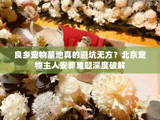 良乡宠物墓地真的避坑无方？北京宠物主人安葬难题深度破解