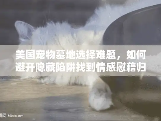 美国宠物墓地选择难题,如何避开隐藏陷阱找到情感慰藉归宿? 美国宠物墓地选择难题,如何避开隐藏陷阱找到情感慰藉归宿?