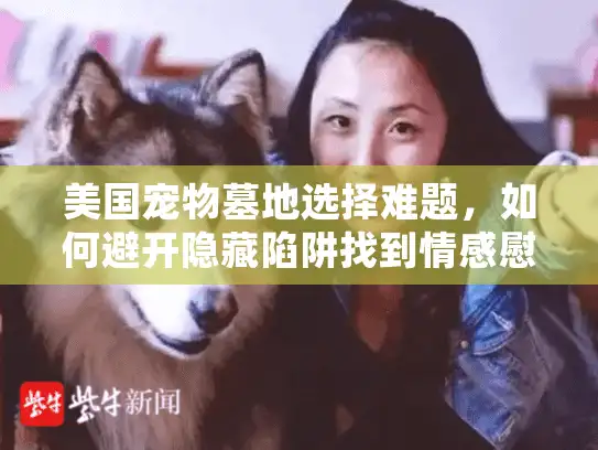 美国宠物墓地选择难题,如何避开隐藏陷阱找到情感慰藉归宿? 美国宠物墓地选择难题,如何避开隐藏陷阱找到情感慰藉归宿?