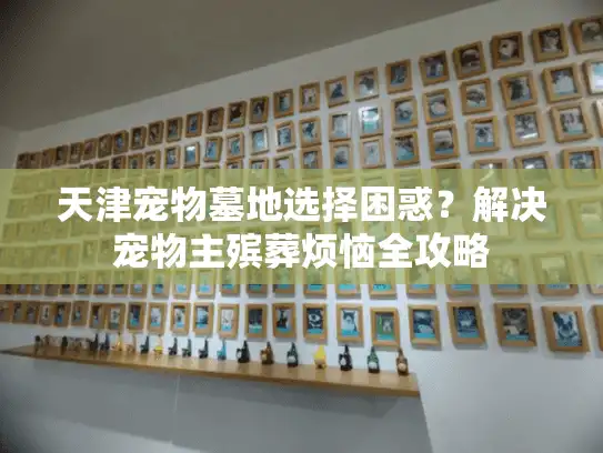 天津宠物墓地选择困惑？解决宠物主殡葬烦恼全攻略