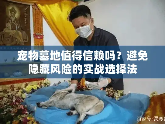 宠物墓地值得信赖吗？避免隐藏风险的实战选择法