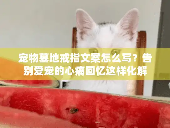 宠物墓地戒指文案怎么写?告别爱宠的心痛回忆这样化解 宠物墓地戒指文案怎么写?告别爱宠的心痛回忆这样化解