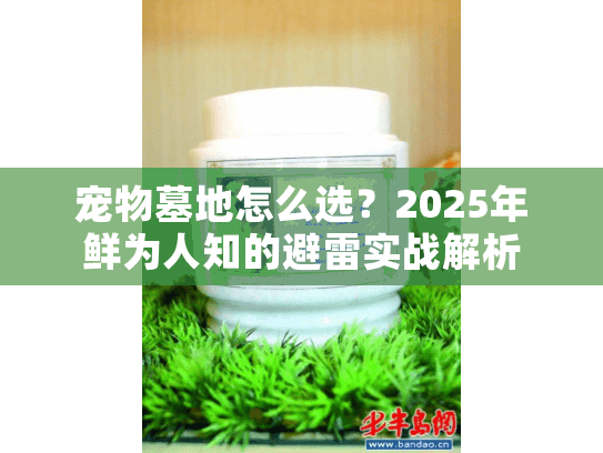 宠物墓地怎么选？2025年鲜为人知的避雷实战解析