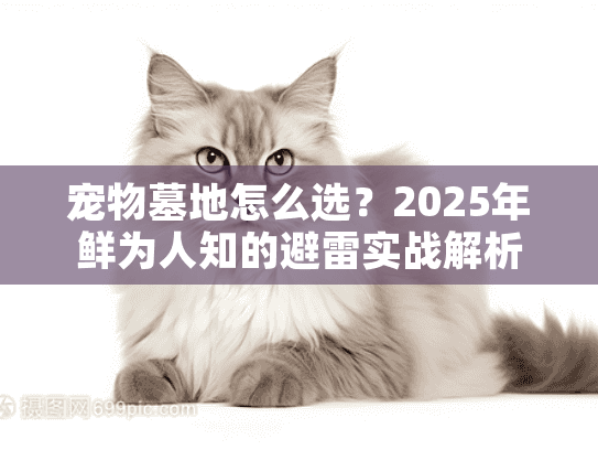 宠物墓地怎么选？2025年鲜为人知的避雷实战解析