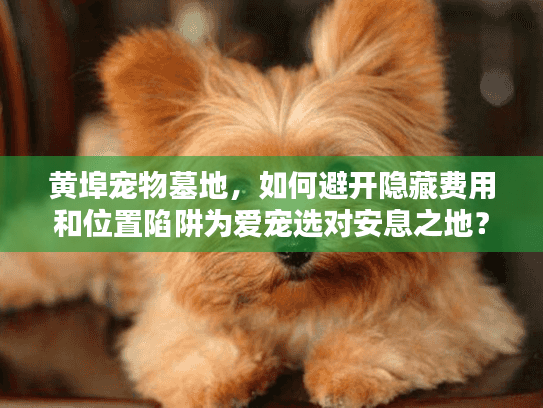 黄埠宠物墓地，如何避开隐藏费用和位置陷阱为爱宠选对安息之地？