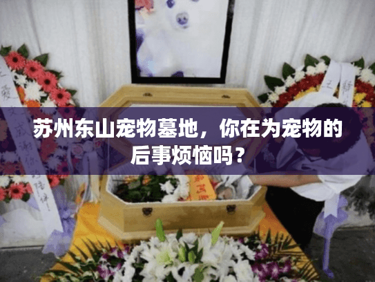 苏州东山宠物墓地，你在为宠物的后事烦恼吗？