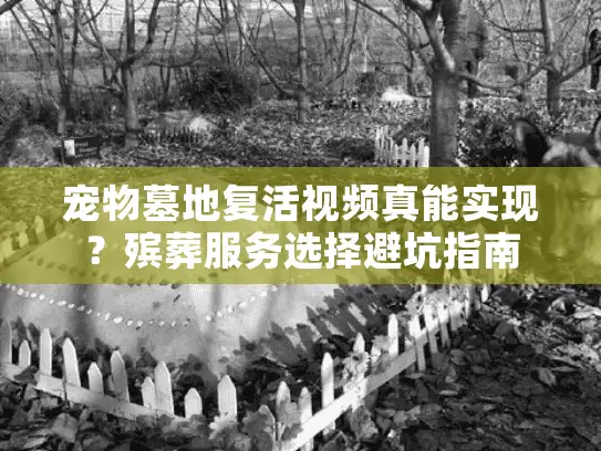 宠物墓地复活视频真能实现？殡葬服务选择避坑指南