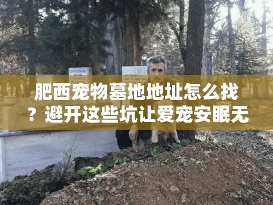 肥西宠物墓地地址怎么找？避开这些坑让爱宠安眠无忧