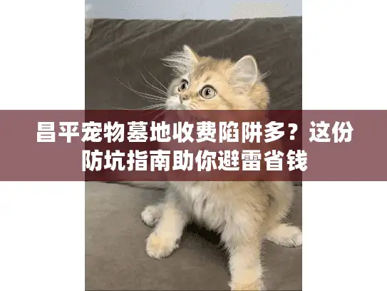 昌平宠物墓地收费陷阱多?这份防坑指南助你避雷省钱 昌平宠物墓地收费陷阱多?这份防坑指南助你避雷省钱