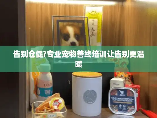 告别仓促?专业宠物善终培训让告别更温暖 告别仓促?专业宠物善终培训让告别更温暖