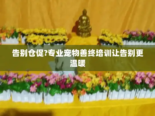 告别仓促?专业宠物善终培训让告别更温暖 告别仓促?专业宠物善终培训让告别更温暖