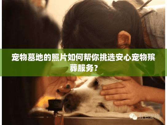 宠物墓地的照片如何帮你挑选安心宠物殡葬服务？