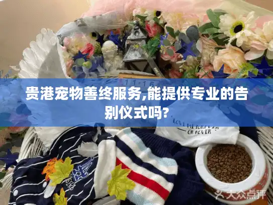 贵港宠物善终服务,能提供专业的告别仪式吗?