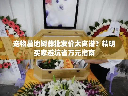 宠物墓地树葬批发价太离谱？精明买家避坑省万元指南