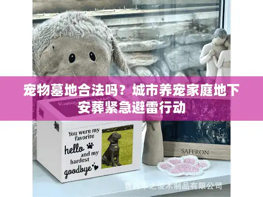 宠物墓地合法吗?城市养宠家庭地下安葬紧急避雷行动 宠物墓地合法吗?城市养宠家庭地下安葬紧急避雷行动