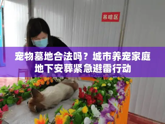 宠物墓地合法吗?城市养宠家庭地下安葬紧急避雷行动 宠物墓地合法吗?城市养宠家庭地下安葬紧急避雷行动