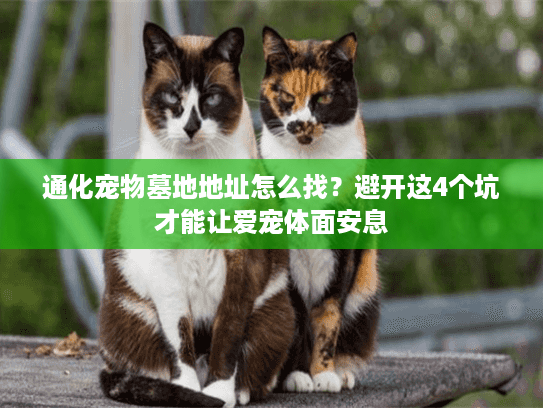 通化宠物墓地地址怎么找？避开这4个坑才能让爱宠体面安息