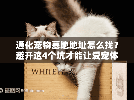 通化宠物墓地地址怎么找？避开这4个坑才能让爱宠体面安息