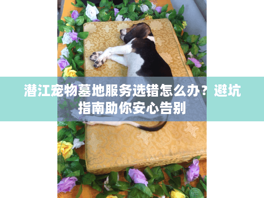 潜江宠物墓地服务选错怎么办？避坑指南助你安心告别