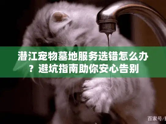 潜江宠物墓地服务选错怎么办？避坑指南助你安心告别