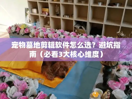 宠物墓地剪辑软件怎么选？避坑指南（必看3大核心维度）