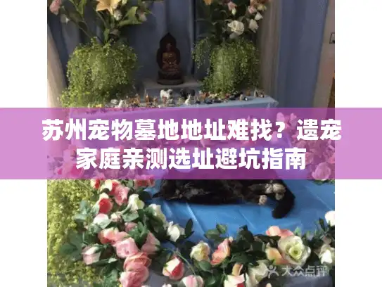 苏州宠物墓地地址难找？遗宠家庭亲测选址避坑指南