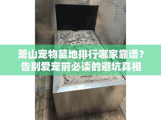 萧山宠物墓地排行哪家靠谱？告别爱宠前必读的避坑真相
