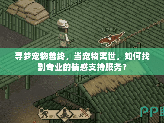 寻梦宠物善终,当宠物离世,如何找到专业的情感支持服务? 寻梦宠物善终,当宠物离世,如何找到专业的情感支持服务?