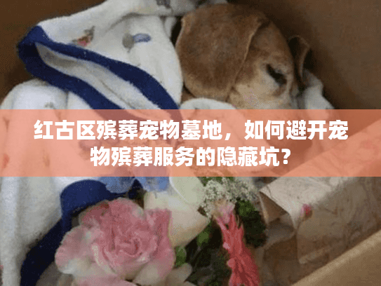 红古区殡葬宠物墓地，如何避开宠物殡葬服务的隐藏坑？