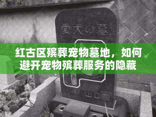 红古区殡葬宠物墓地，如何避开宠物殡葬服务的隐藏坑？