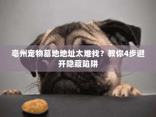 亳州宠物墓地地址太难找？教你4步避开隐藏陷阱
