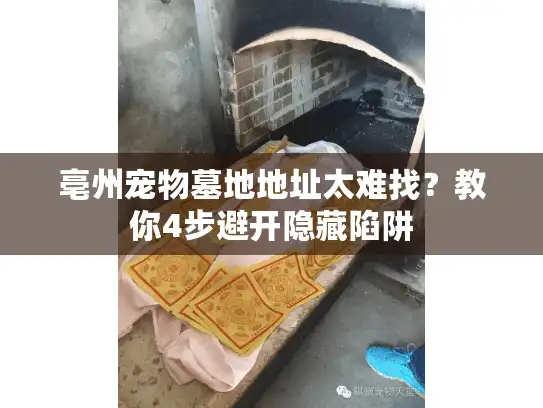亳州宠物墓地地址太难找？教你4步避开隐藏陷阱