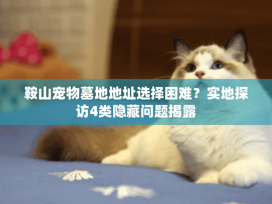 鞍山宠物墓地地址选择困难？实地探访4类隐藏问题揭露