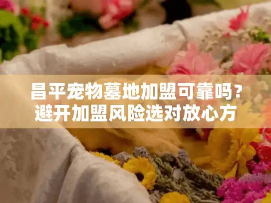 昌平宠物墓地加盟可靠吗？避开加盟风险选对放心方案