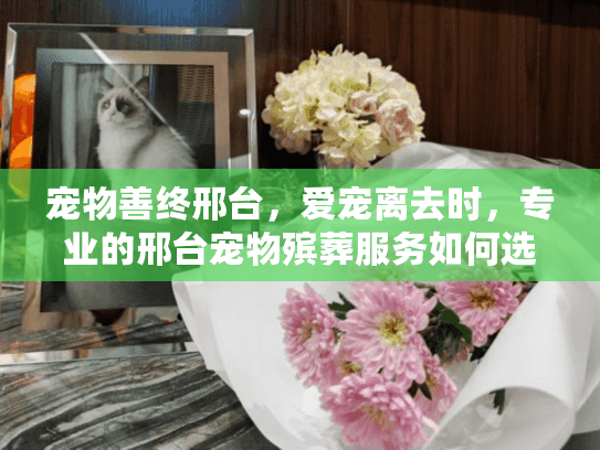 宠物善终邢台，爱宠离去时，专业的邢台宠物殡葬服务如何选？