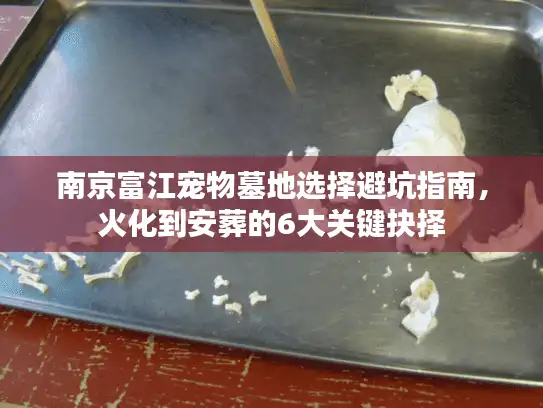 南京富江宠物墓地选择避坑指南，火化到安葬的6大关键抉择