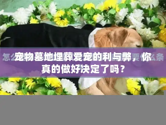 宠物墓地埋葬爱宠的利与弊，你真的做好决定了吗？
