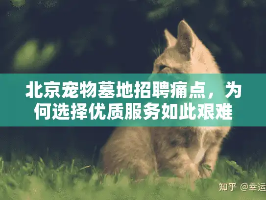 北京宠物墓地招聘痛点，为何选择优质服务如此艰难？