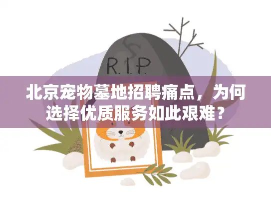 北京宠物墓地招聘痛点，为何选择优质服务如此艰难？
