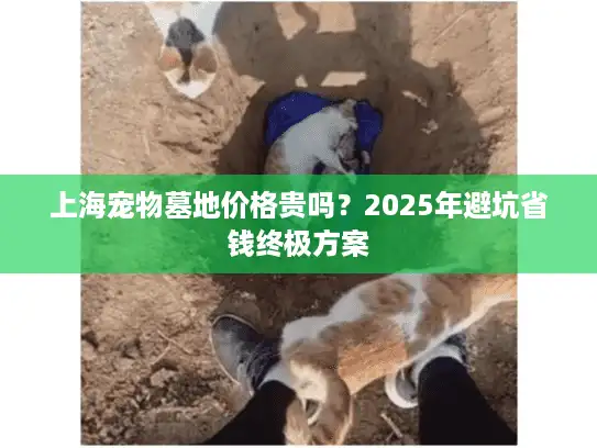 上海宠物墓地价格贵吗？2025年避坑省钱终极方案