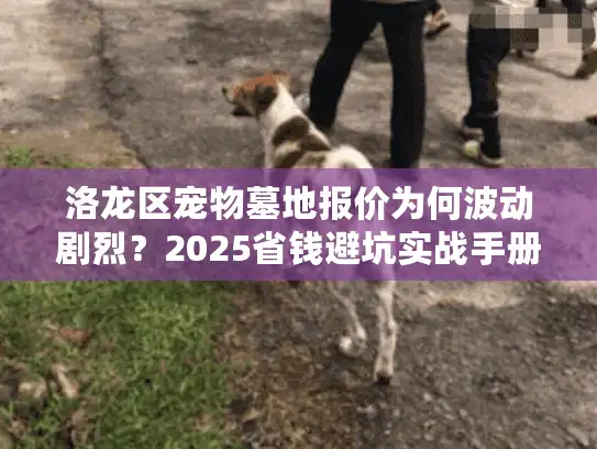 洛龙区宠物墓地报价为何波动剧烈？2025省钱避坑实战手册