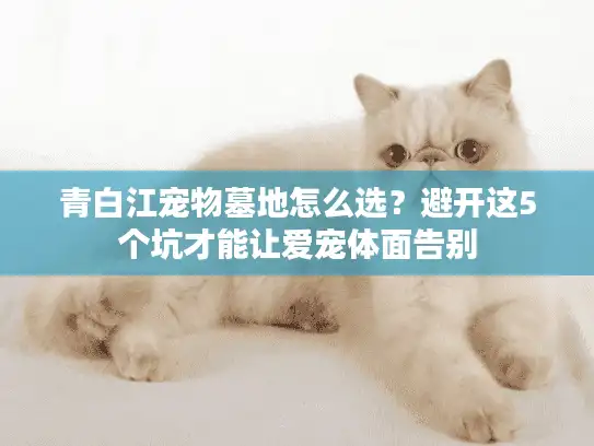 青白江宠物墓地怎么选？避开这5个坑才能让爱宠体面告别