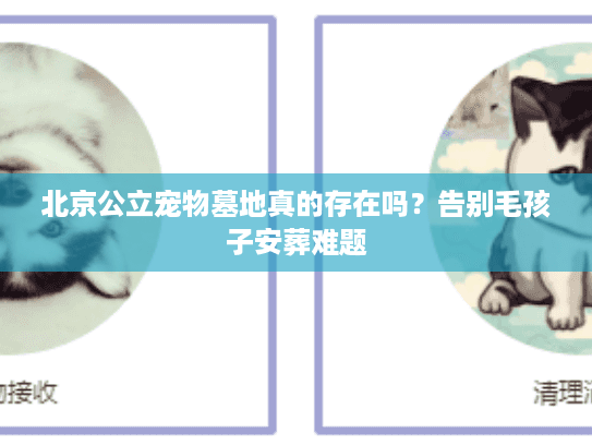 北京公立宠物墓地真的存在吗？告别毛孩子安葬难题