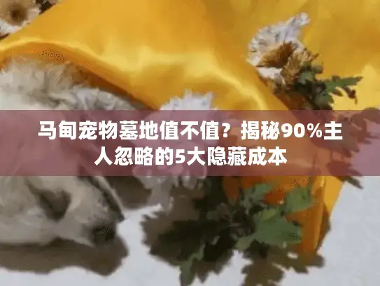 马甸宠物墓地值不值?揭秘90%主人忽略的5大隐藏成本 马甸宠物墓地值不值?揭秘90%主人忽略的5大隐藏成本
