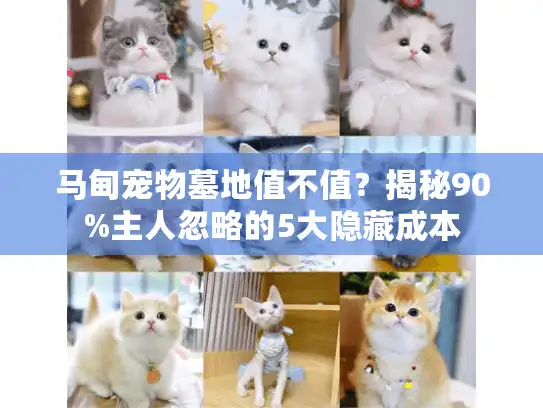 马甸宠物墓地值不值?揭秘90%主人忽略的5大隐藏成本 马甸宠物墓地值不值?揭秘90%主人忽略的5大隐藏成本