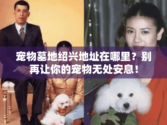 宠物墓地绍兴地址在哪里？别再让你的宠物无处安息！