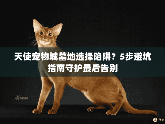 天使宠物城墓地选择陷阱？5步避坑指南守护最后告别