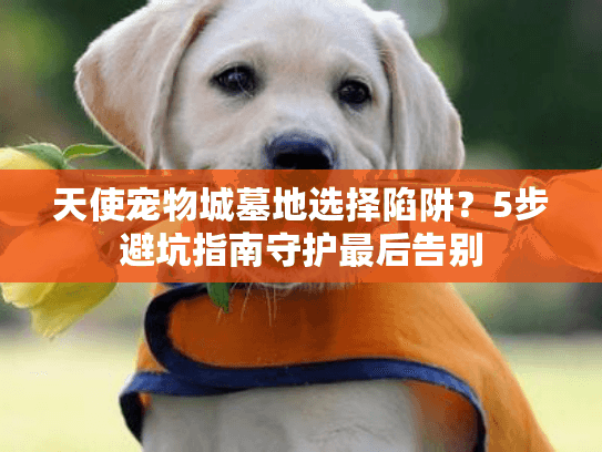 天使宠物城墓地选择陷阱？5步避坑指南守护最后告别